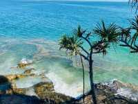 🌊【ヌーサ・ヘッズ（Noosa Heads）】海と森、冒険と癒しのビーチリゾート
