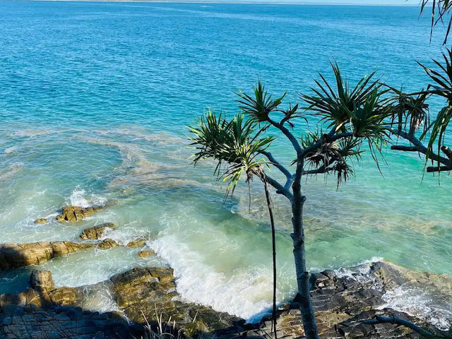 🌊【ヌーサ・ヘッズ（Noosa Heads）】海と森、冒険と癒しのビーチリゾート