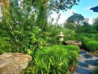 The Zen experience at the Teahouse, Japanese Gardens