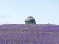 Buddha Hill in Hokkaido