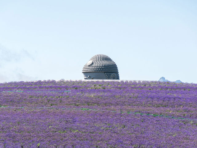 Buddha Hill in Hokkaido