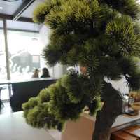 Umai Teahouse Phuket 