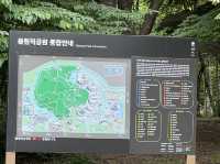 올림픽 공원 여행