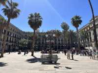 【Pl. Reial（Plaça Reial）｜ガウディ照明が彩るゴシック地区の陽だまり広場】