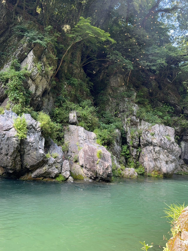 夏にぴったり🌊「鳩ノ巣渓谷」で川遊びを満喫しよう✨