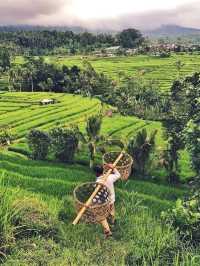 Jatiluwih Rice Terraces