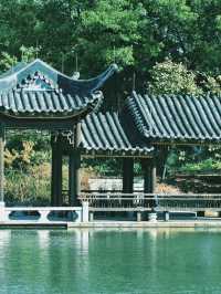 Haizhu Lake Park (海珠湖公园) SUP Paddleboarding, Guangzhou