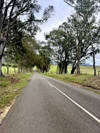 🍇🦘 2D1N Weekend Trip to Hunter Valley – Wine, Views & Balloon Dreams 🎈🍫