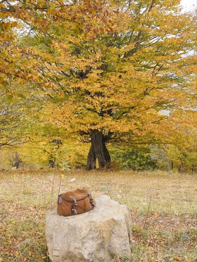 【アルメニアの小さな森の町】ディリジャン🌲