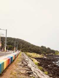 The Perfect Spot for Iconic Jeju Photos