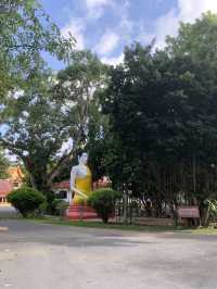 วัดเทพวราราม ( หม่านิก) 