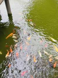 ✨ Discover the Beauty of Yu Garden Shanghai | Traditional Chinese Architecture & Nature