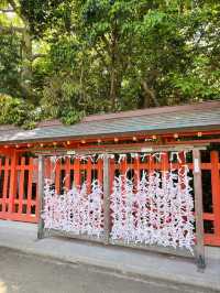 ⛩️ 후쿠오카 도심 속 고요한 신사 – 스미요시 신사