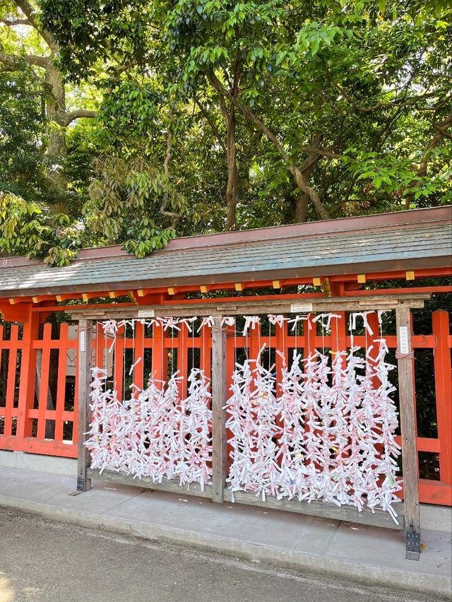 ⛩️ 후쿠오카 도심 속 고요한 신사 – 스미요시 신사