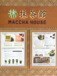 교토여행 진한 말차 아이스크림 “maccha house"🌿