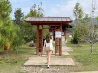 🌾☕ Pai Coffee Studio – จิบกาแฟกลางทุ่ง ที่ปาย