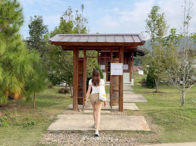 🌾☕ Pai Coffee Studio – จิบกาแฟกลางทุ่ง ที่ปาย