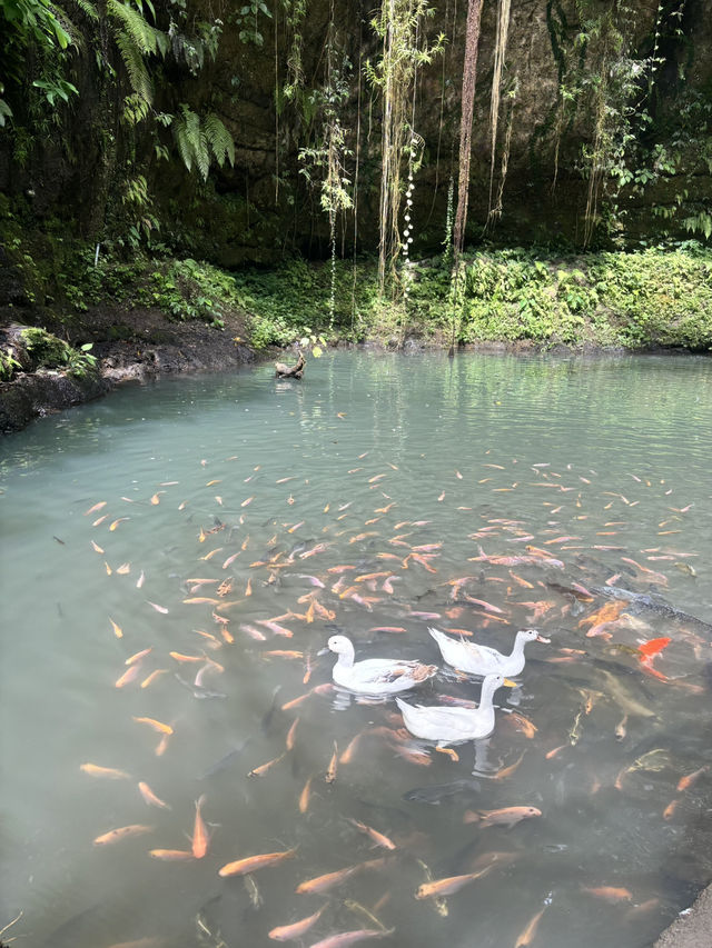 Beautiful waterfall in Ubud