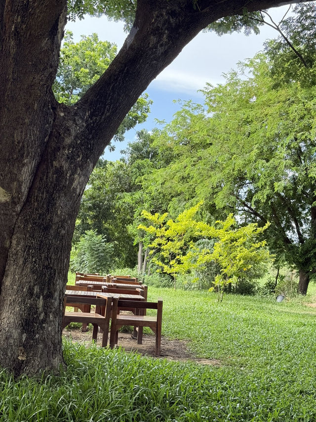 No cafe just coffee คาเฟ่อยุธยา