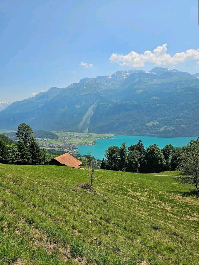Brienzer Rothorn Steam Train