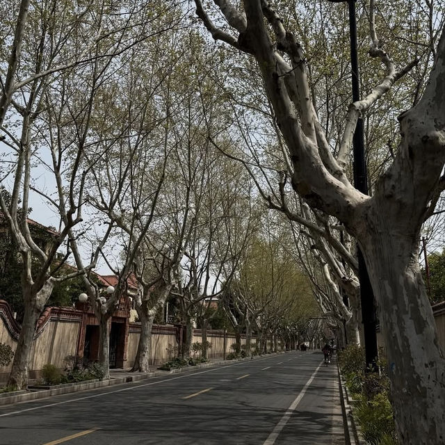 🌸✨ Wukang Road, Shanghai 