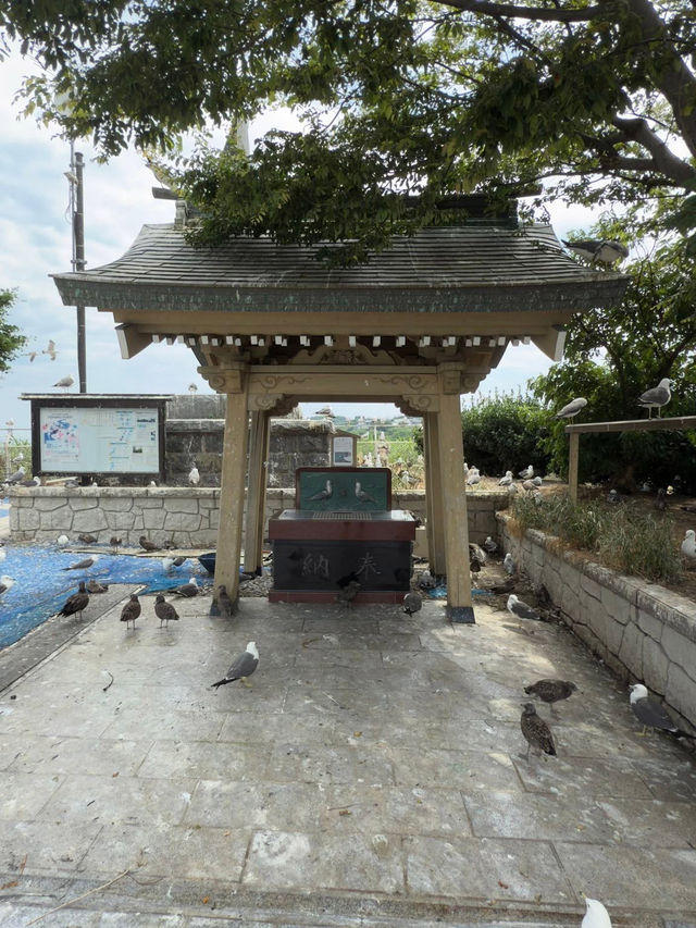 Kabushima Shrine: Where 30,000 Wild Gulls Become Sacred Messengers
