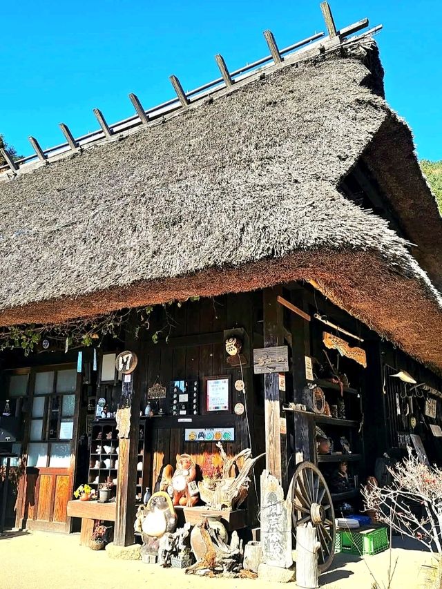 Healing Village by Mt. Fuji: Saiko Iyashi‑no‑Sato Nenba