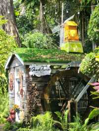 My Way Cafe & Bistro-Pradsak Dam คาเฟ่สวนสวย🌱