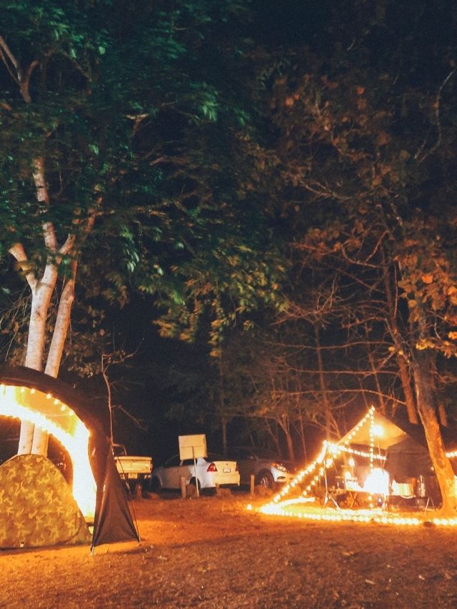 กางเต็นท์ นอนดูดาว สัมผัสลมหนาว ที่อุทยานแห่งชาติทับลาน @วังน้ำเขียว