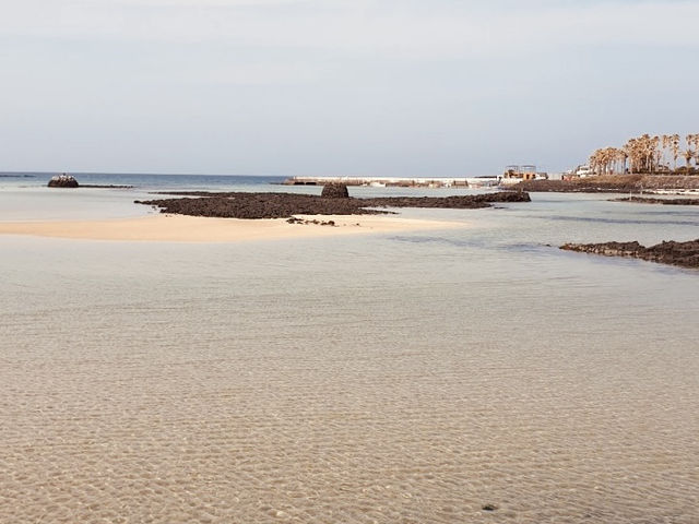 A Quaint Coastal Gem with Local Charm