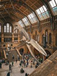 This museum is probably the best museum I've been to, is so beautiful with so much intricate detail