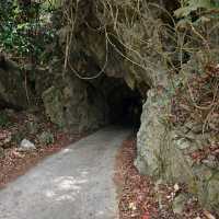 Cat Ba National Park