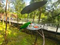 Experience the australian outback in Bird Paradise