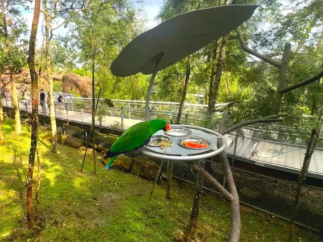 Experience the australian outback in Bird Paradise