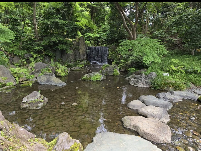 🍁東京・後楽園｜小石川後楽園｜都心のオアシスで、日本と中国の美が融合する庭園散歩🌿✨