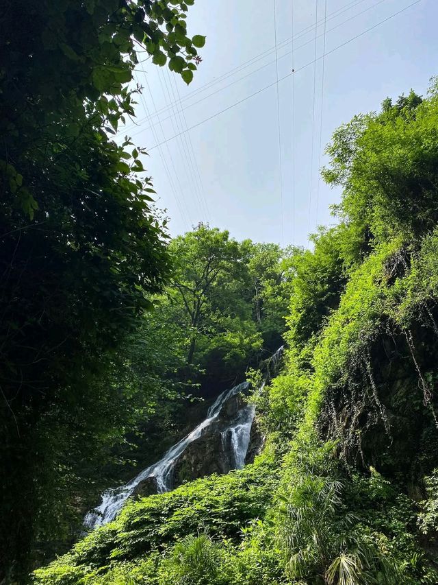 Hidden Gem in the Cliffs
