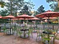 Dinosaur Dine & Chill at Birds of Prey Café
