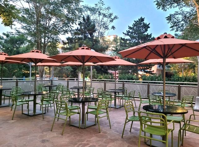 Dinosaur Dine & Chill at Birds of Prey Café