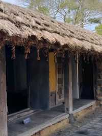Whispers of Old Jeju: A Walk Through the Folk Village