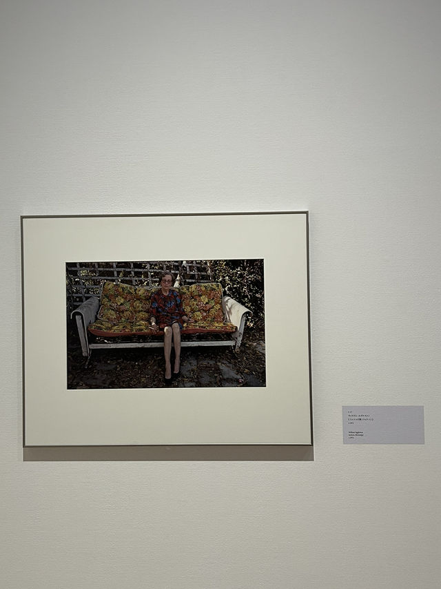 【東京・恵比寿】東京都写真美術館　トランスフィジカル