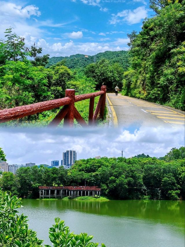 深圳銀湖山郊野公園 • 徒步、騎行