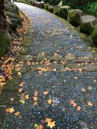 臺北內湖大溝溪親水步道 圓覺瀑布 親子好去處