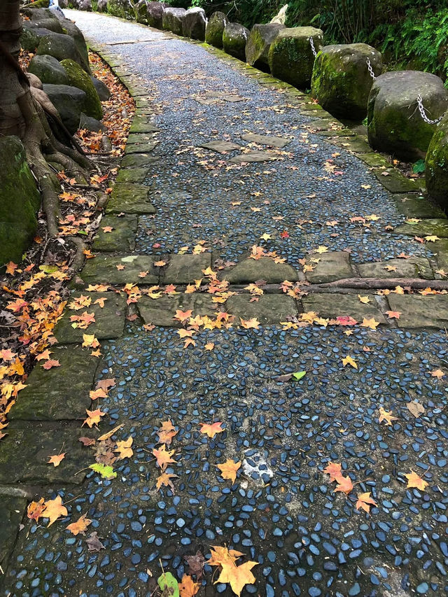 臺北內湖大溝溪親水步道 圓覺瀑布 親子好去處