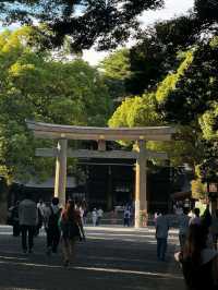 Meiji Jingu: Tokyo’s Peaceful Heartbeat in a Sacred Forest