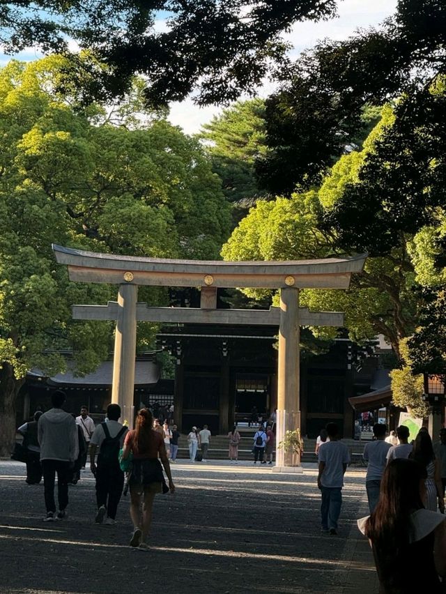 Meiji Jingu: Tokyo’s Peaceful Heartbeat in a Sacred Forest