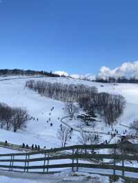 Daegwallyeong คังวอนโดเกาหลี 🇰🇷❄️