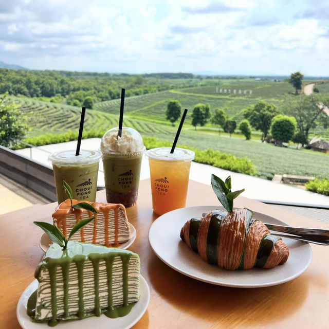 緑の海に浮かぶカフェ！チュイフォンでしか味わえない絶景ティー体験🇹🇭