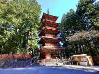 Tōshōgū Shrine in Nikkō: A Golden Masterpiece of Samurai Power & Divine Art