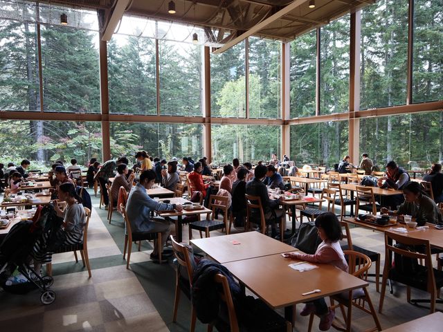 擁抱整座森林的早餐時光/星野度假村Nininupuri