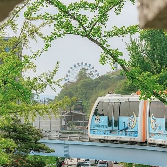 Wolmido Island: A Nostalgic Seaside Escape Just Outside Seoul"** 🌊🎡